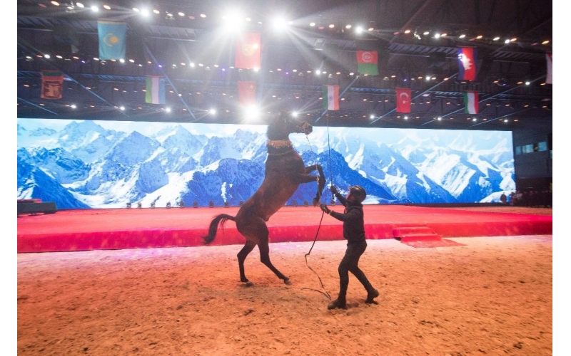 住馬酒店、吃馬肉腸、喝馬奶粉、品馬奶酒--